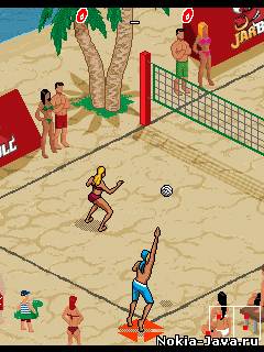 Скриншот №3 к игре Beach Volleyball